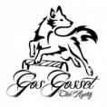 CLUB DE AGILITY GOS GOSSET